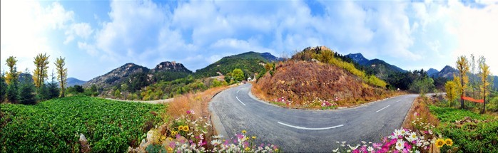 张庄生态旅游全景5