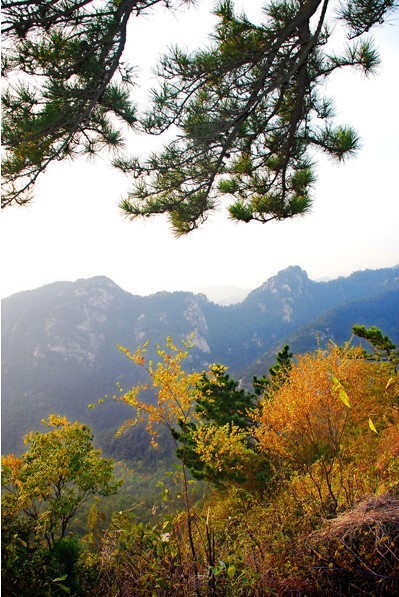天蒙山秋天