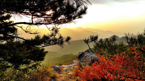塔山