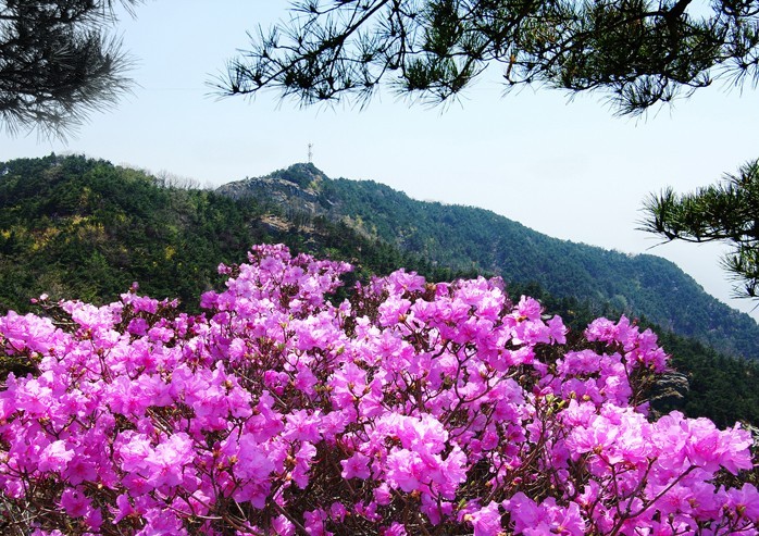 春天的塔山