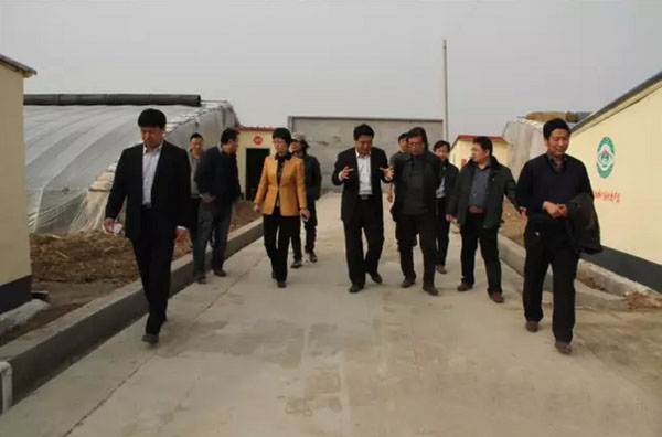 费县胡阳镇与临沂大学美术学院达成教学实践基地共建协议